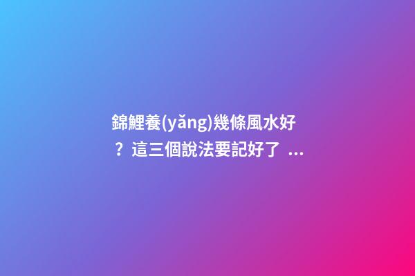 錦鯉養(yǎng)幾條風水好？這三個說法要記好了！
